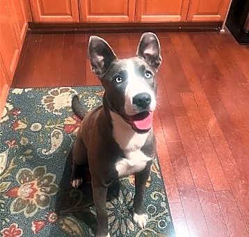 Photo of Kira