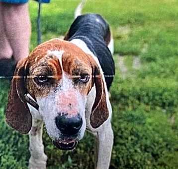 Photo of Mavis
