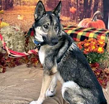 Photo of Jasmine