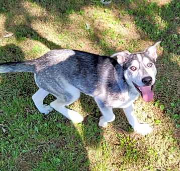 Photo of Aspen