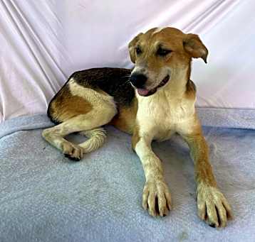 Photo of Wylie