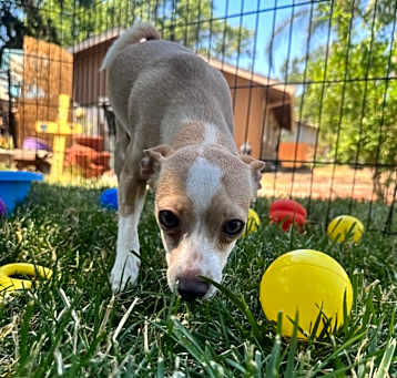 Photo of Olivia