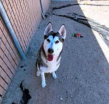 Photo of Sheila