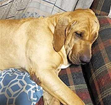 Photo of Fiona