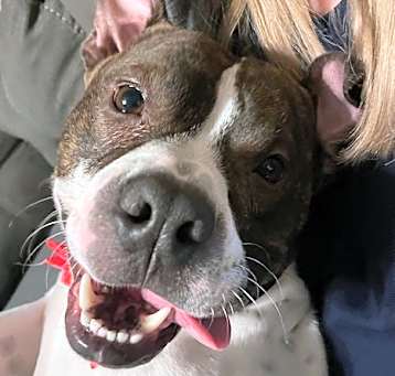 Photo of Rizzo