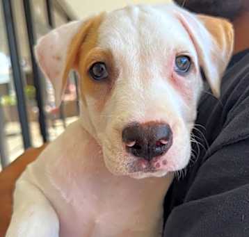 Photo of Wally