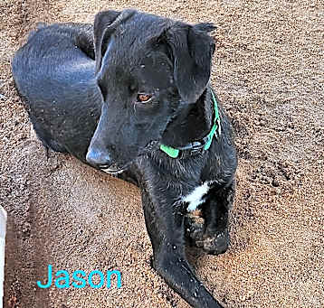Photo of Jason