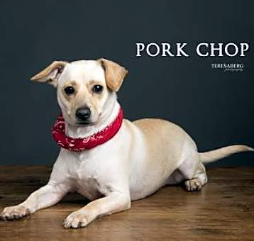 Photo of Pork Chop
