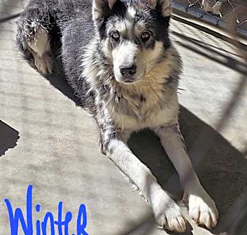 Photo of Winter