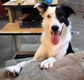 Photo of Willy