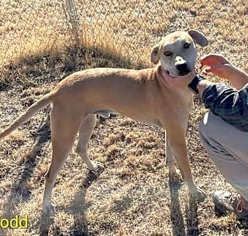 Photo of Todd