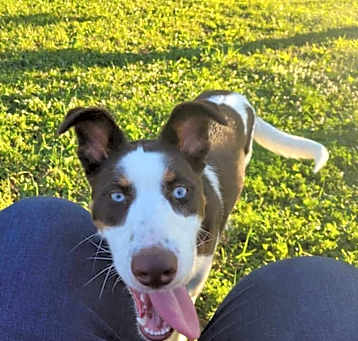 Photo of Tilly