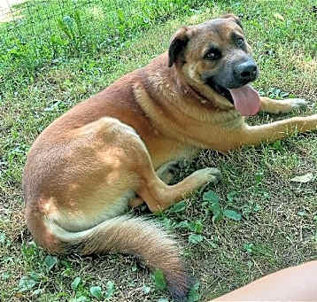 Photo of Ranger