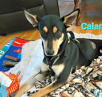 Photo of Calamity Jane
