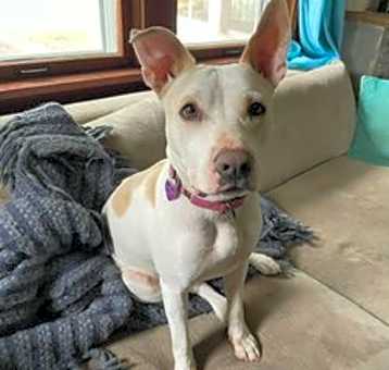 Photo of Lilah
