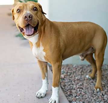 Photo of Bruce