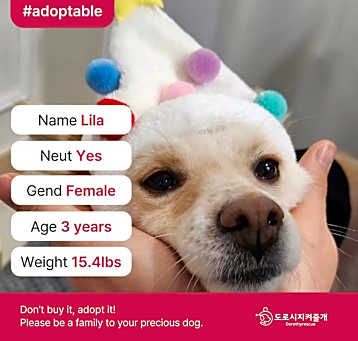 Photo of Lila (D)