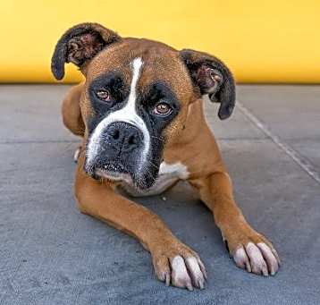 Photo of LUCY