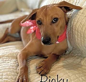 Photo of Ricky