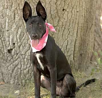 Photo of Ruthie