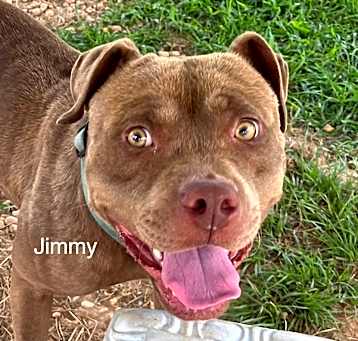 Photo of Jimmy