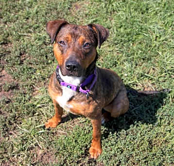Photo of Prue