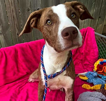 Photo of Murphy