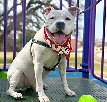 Photo of Manny