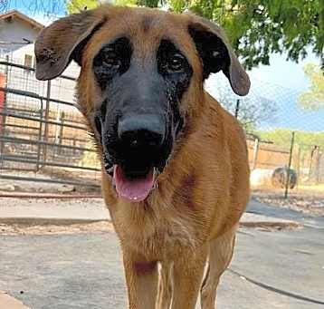 Photo of Gunther