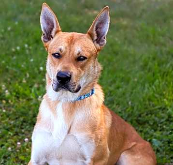 Photo of Thor