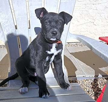 Photo of Tank