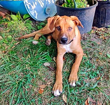 Photo of Jasper