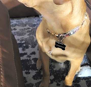 Photo of Fidelito