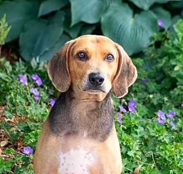 Photo of Max