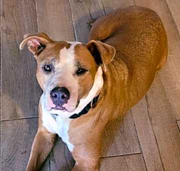 Photo of Phoenix