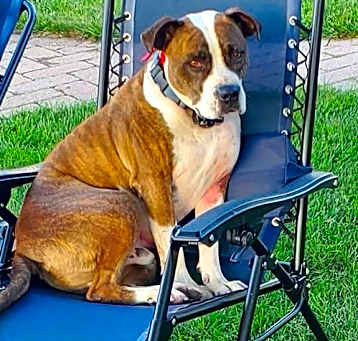 Photo of Mugsy