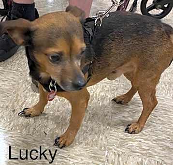 Photo of Lucky #11