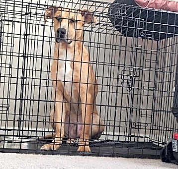 Photo of Oakley