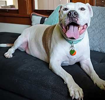 Photo of Vinnie