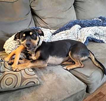 Photo of Morty