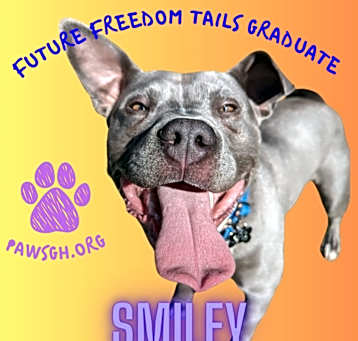 Photo of Smiley