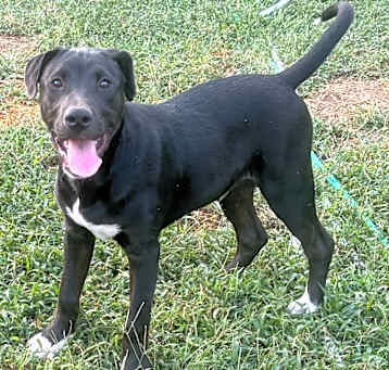 Photo of Payton