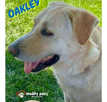 Photo of Andy Oakley aka Oakley