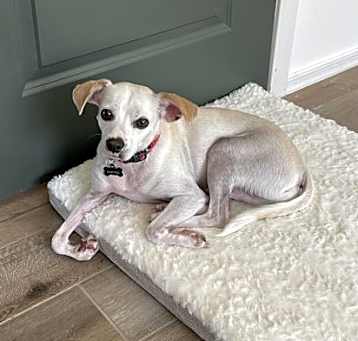Photo of Wiley