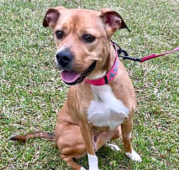 Photo of Annie in Texarkana TX