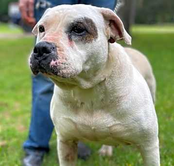 Photo of Lady Luck