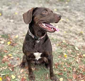 Photo of Roo