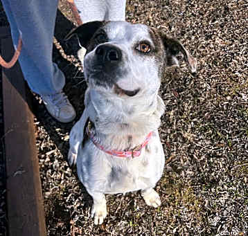 Photo of Rocky a.k.a Allen