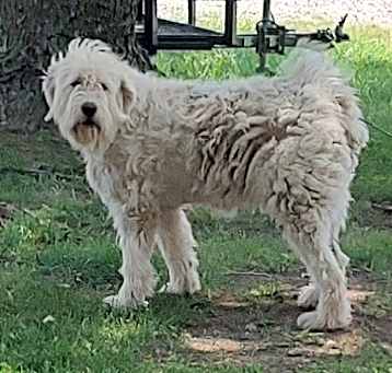 Photo of Gladys