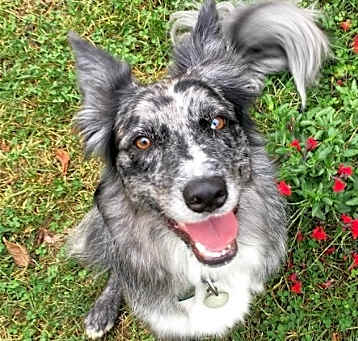 Photo of Lu